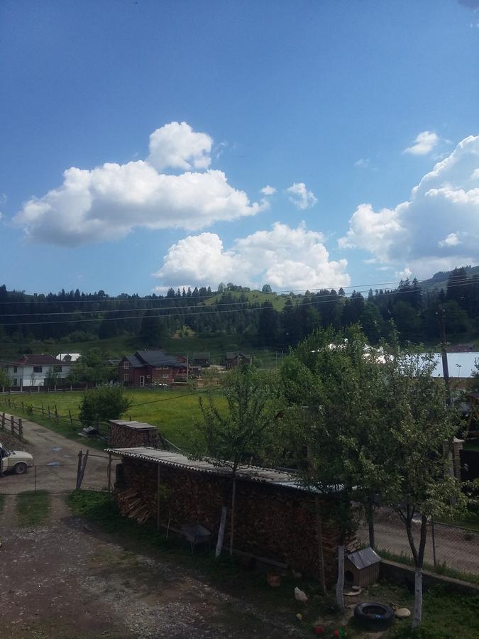 Zatushok Pid Goroyu Villa Verkhovyna Exterior foto